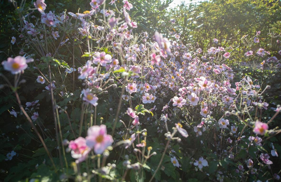 Einzigartige Naturoase Im Sueden Von Ingolstadt Brautlach 외부 사진